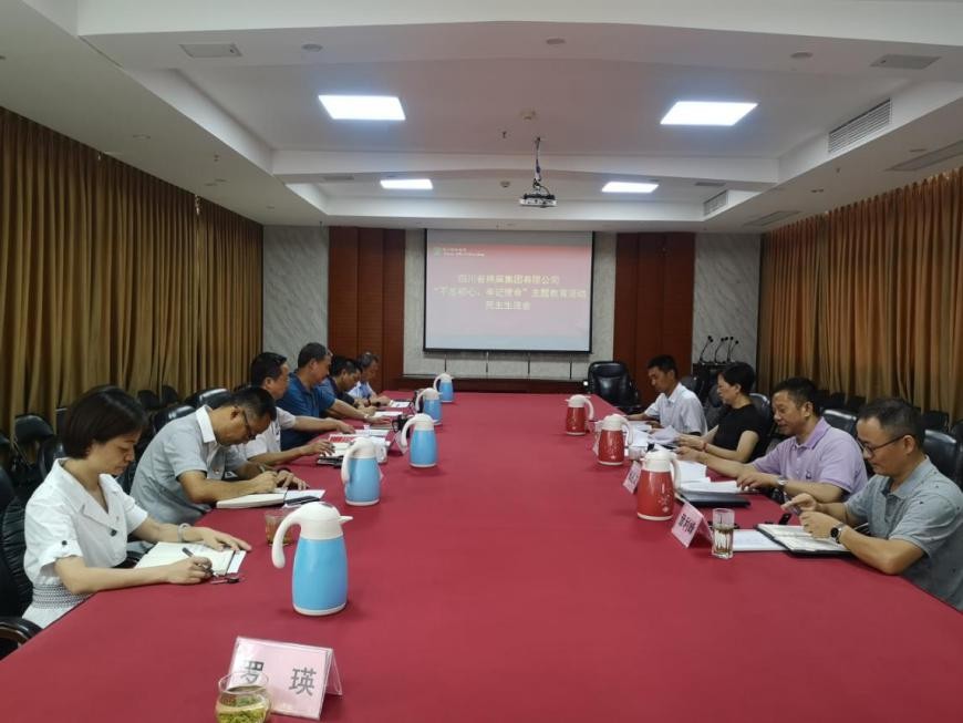 集團(tuán)公司召開“不忘初心、牢記使命”主題教育活動(dòng)民主生活會(huì)