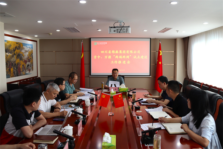 鄧華主持召開資中、萬源“兩端兩網(wǎng)”試點建設(shè)工作推進會