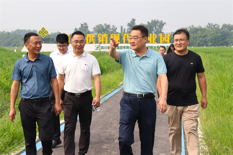 鄧華帶隊(duì)到四川供銷糧油青白江種植基地、好世紀(jì)倉(cāng)儲(chǔ)龍泉庫(kù)調(diào)研