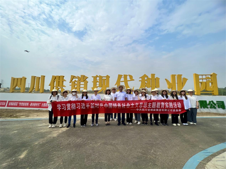 在實(shí)踐中推動(dòng)主題教育走深走實(shí)