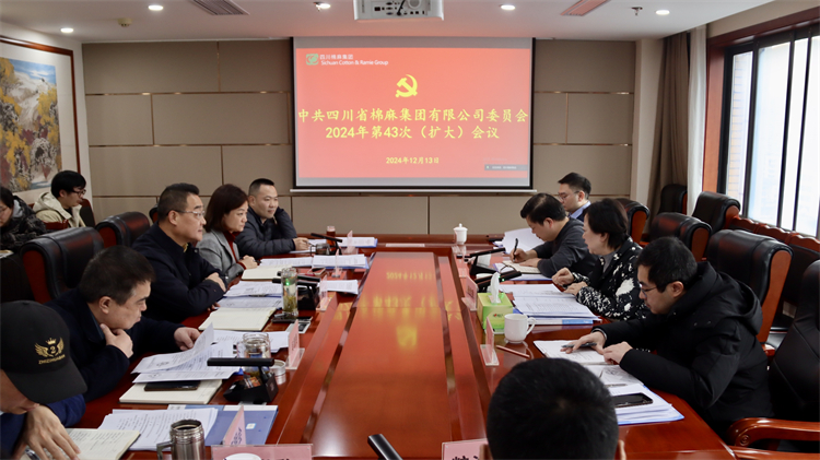 集團(tuán)公司召開(kāi)2024年第43次黨委（擴(kuò)大）會(huì)議