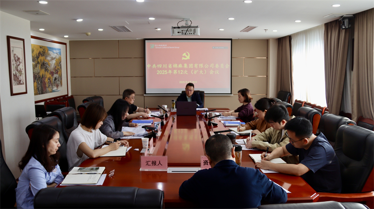 集團(tuán)公司召開(kāi)2025年第12次黨委（擴(kuò)大）會(huì)議