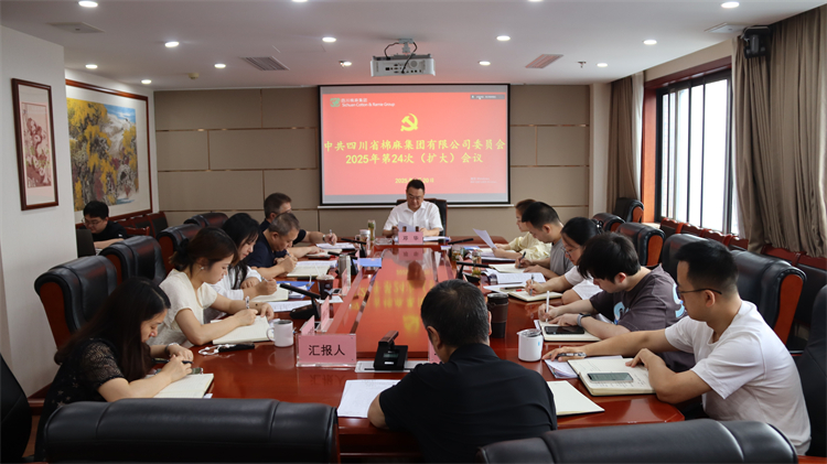 集團(tuán)公司召開2025年第24次黨委（擴大）會議